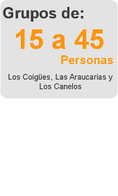 c4